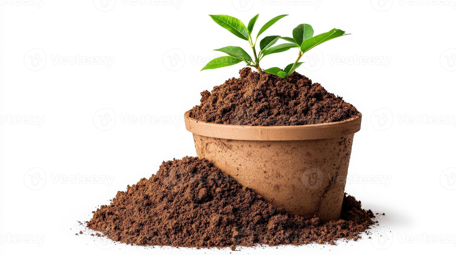 SOIL